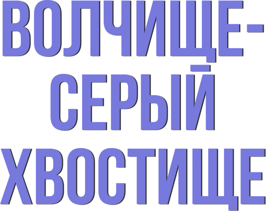 Волчище – серый хвостище