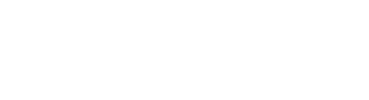 Ласточки и Амазонки