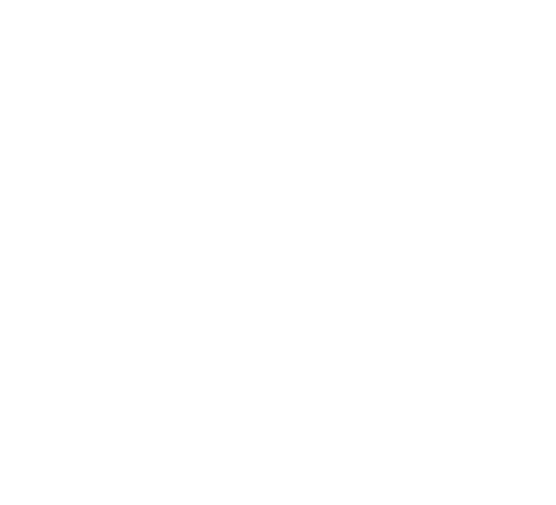 Прежде мы были птицами