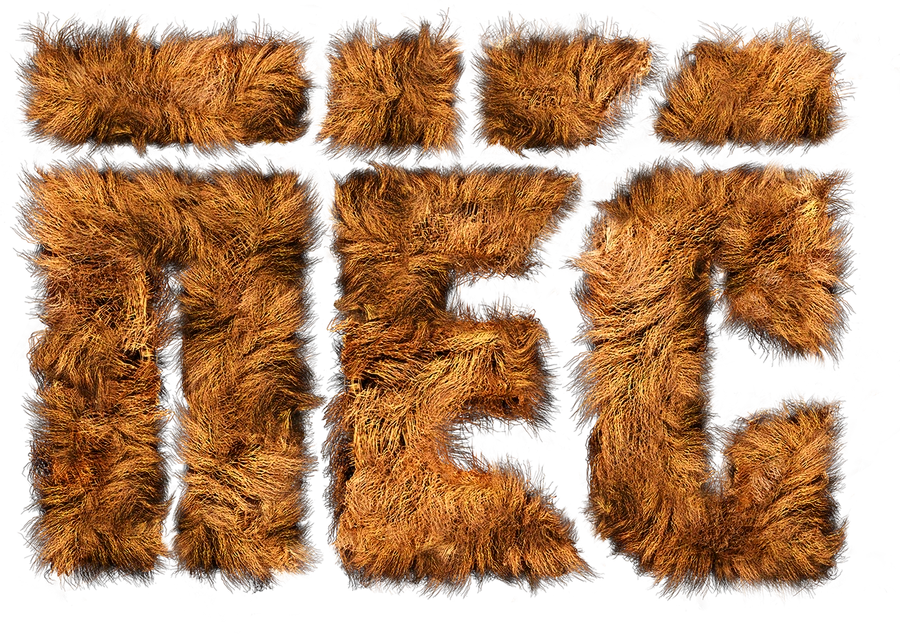 Пёс