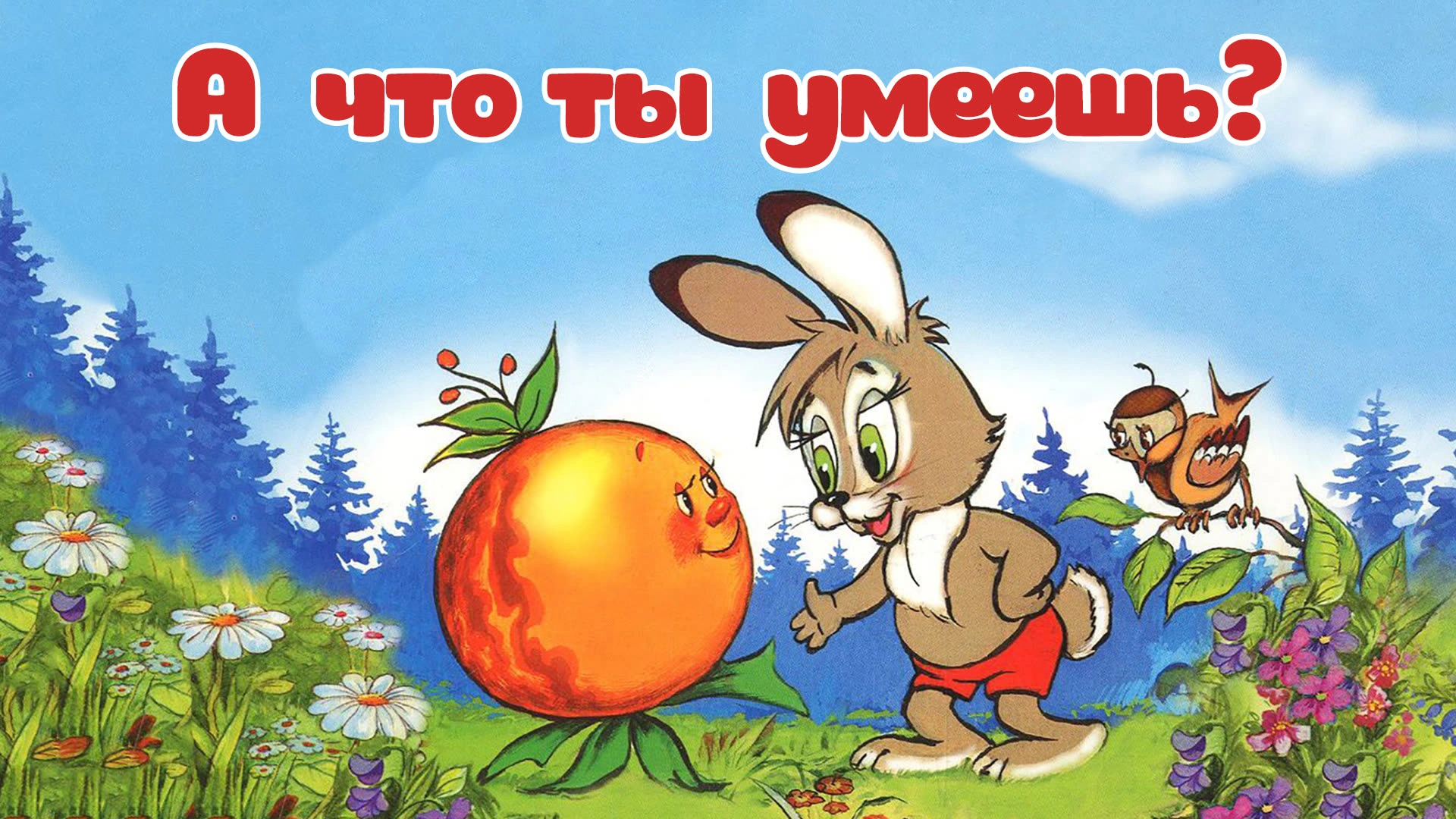А что ты умеешь?