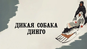 Дикая собака Динго