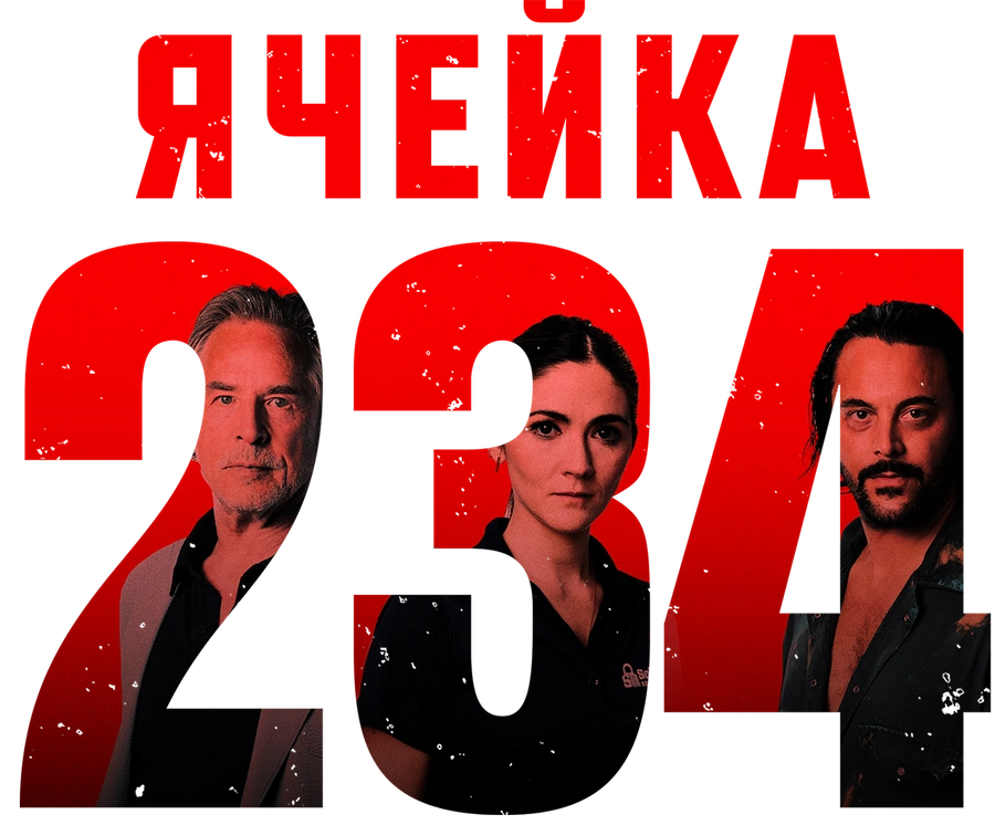 Ячейка 234