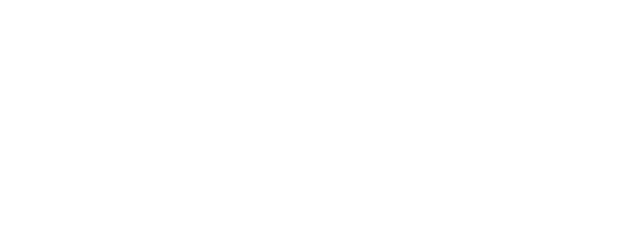 Темные начала