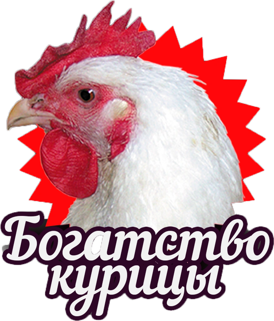 Богатство курицы