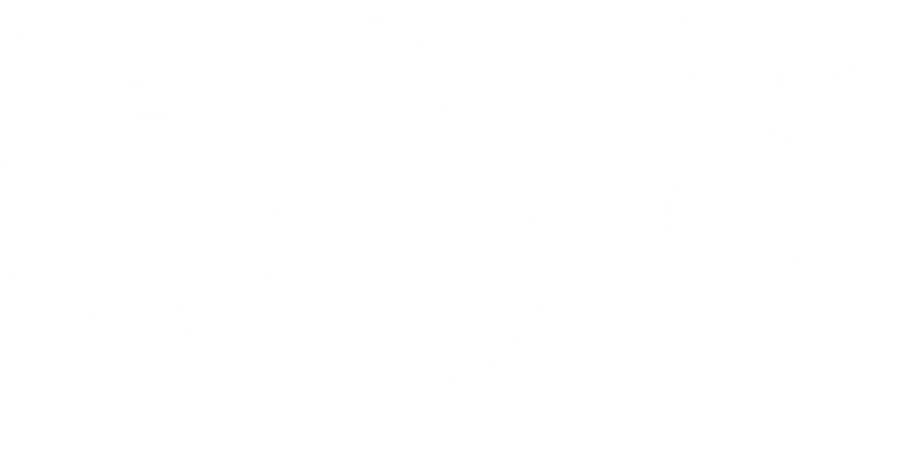 Блуи