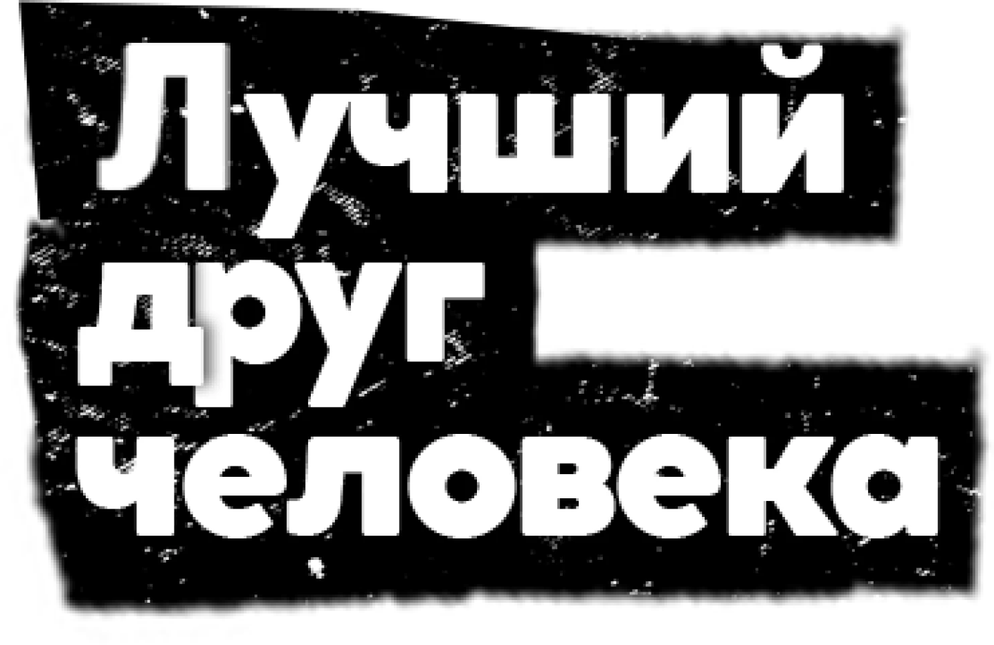 Лучший друг человека