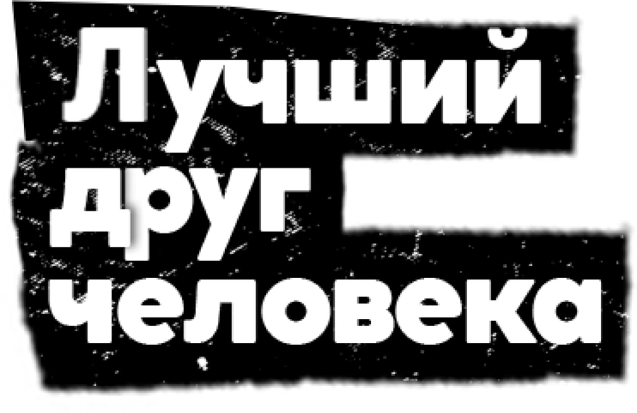Лучший друг человека