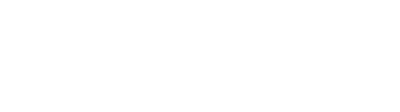 Руди