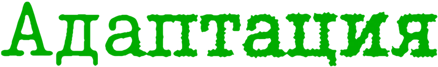 Адаптация (2002)