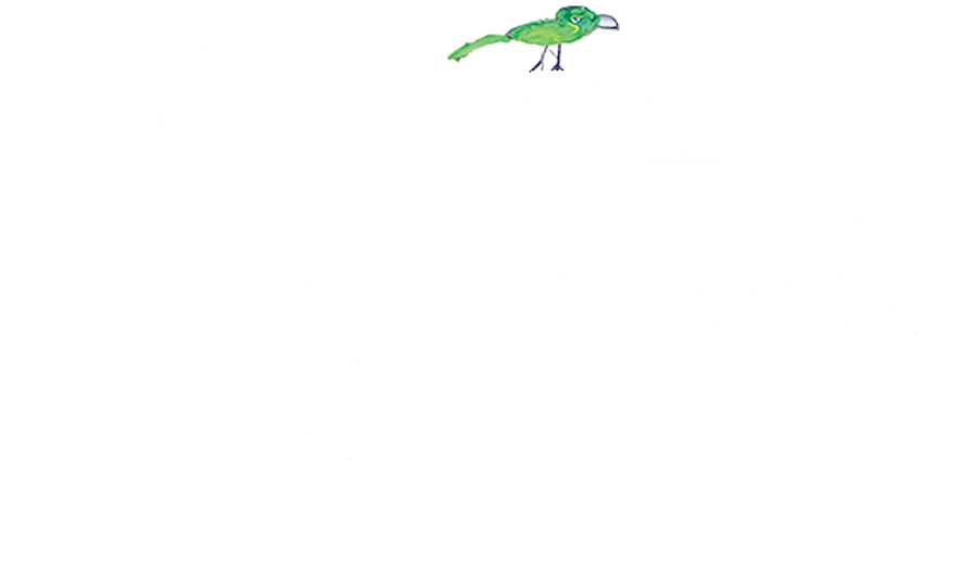 Звёздочки на земле