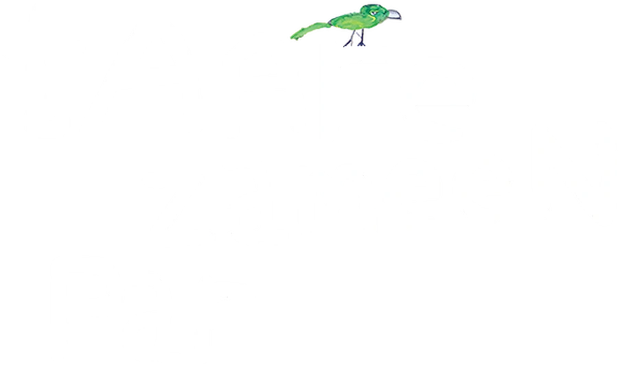 Звёздочки на земле