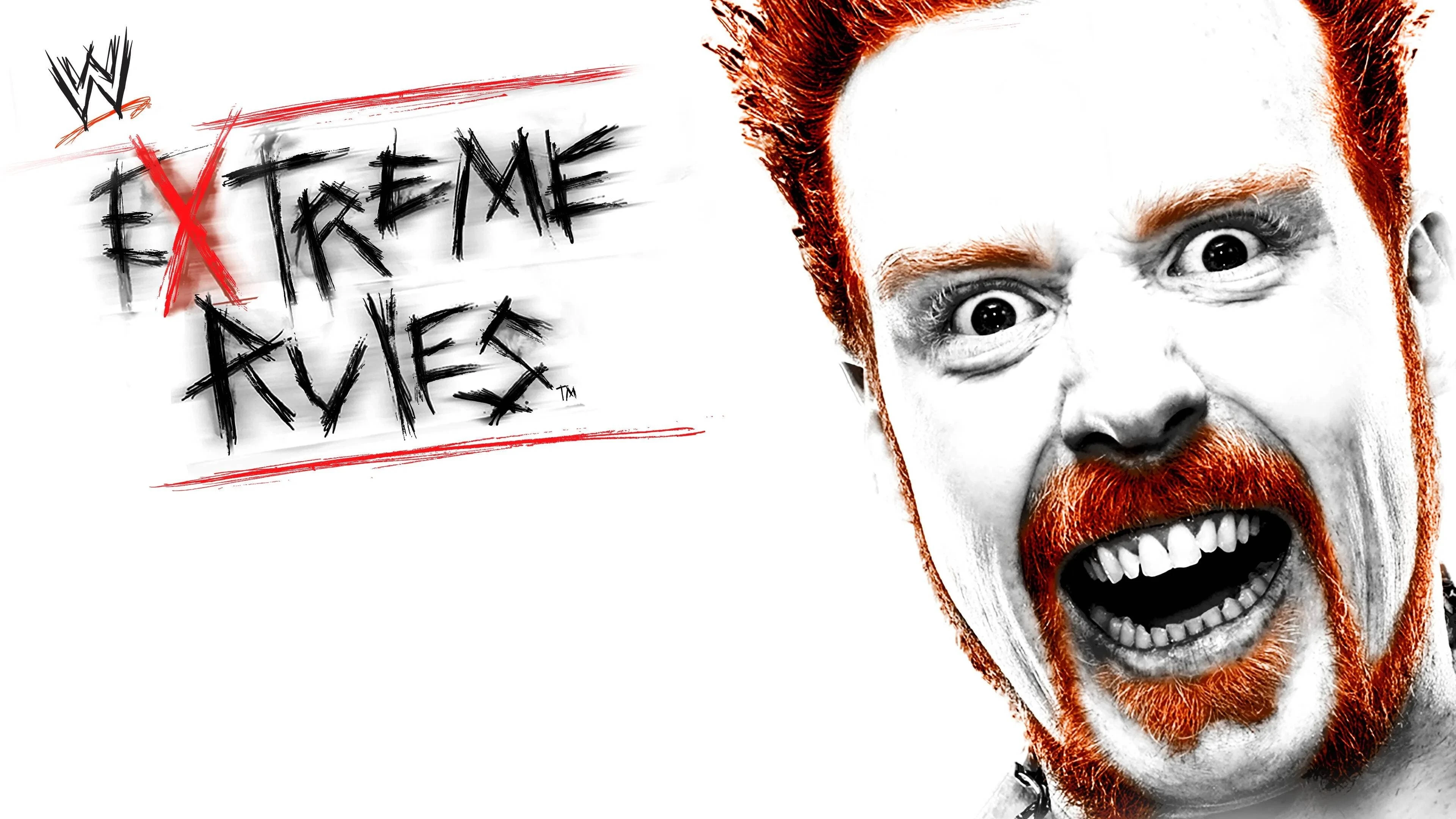 WWE Экстремальные правила