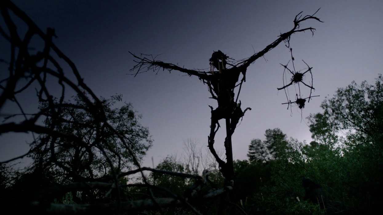 Мистер Джонс