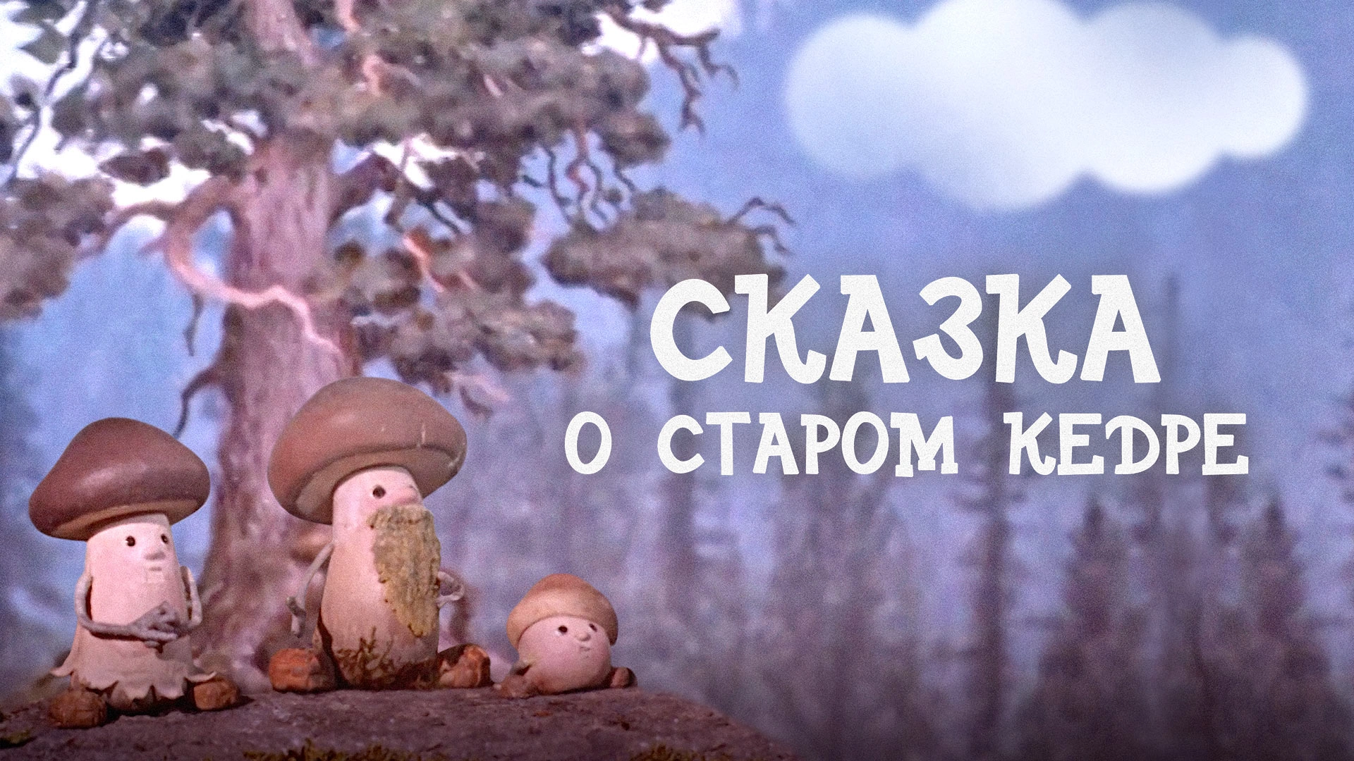 Сказка о старом кедре