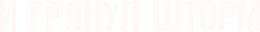 И грянул шторм