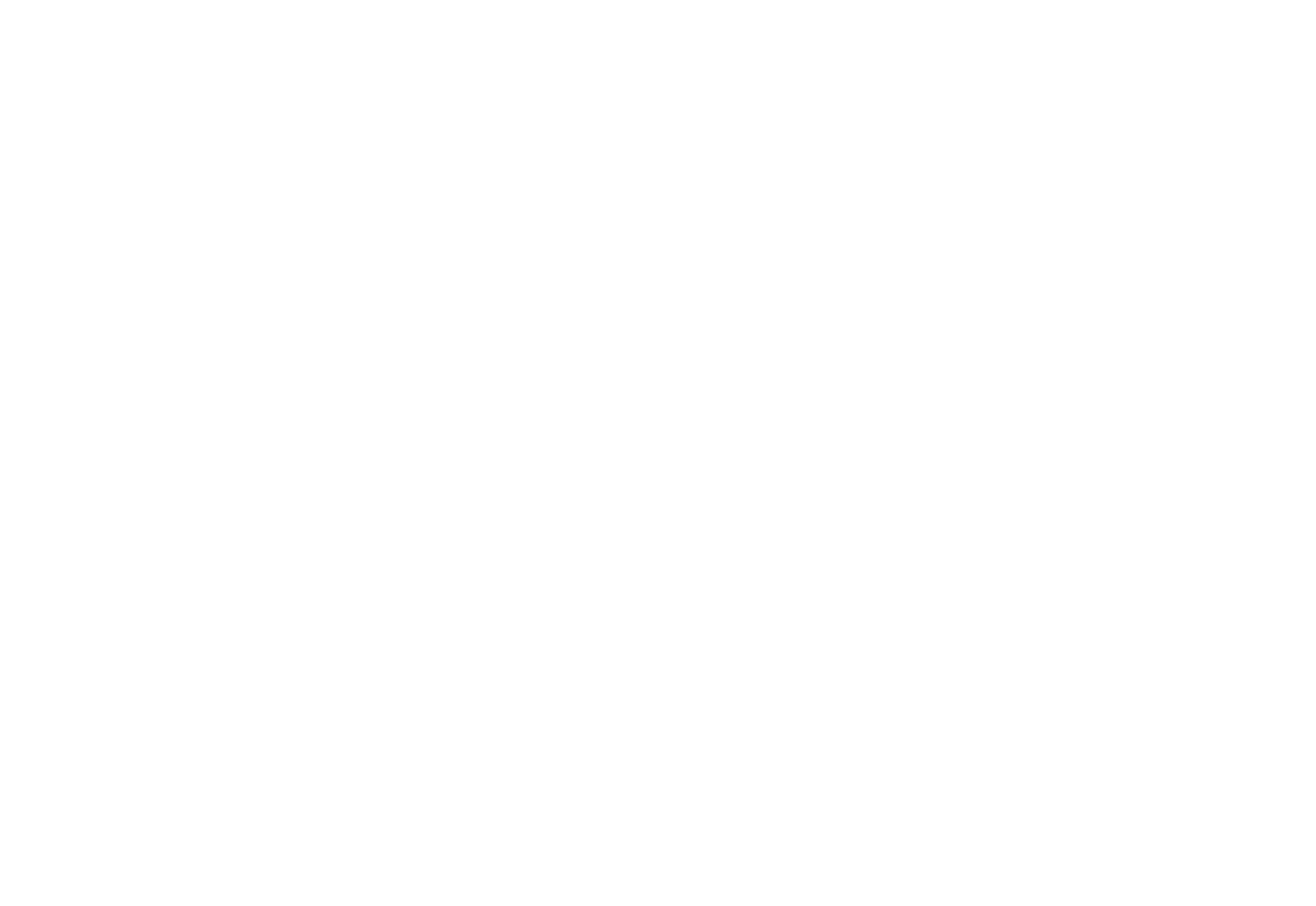 Бравый инспектор Мамочкин