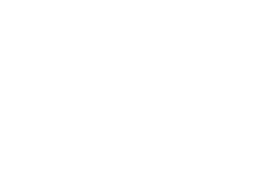 Бравый инспектор Мамочкин