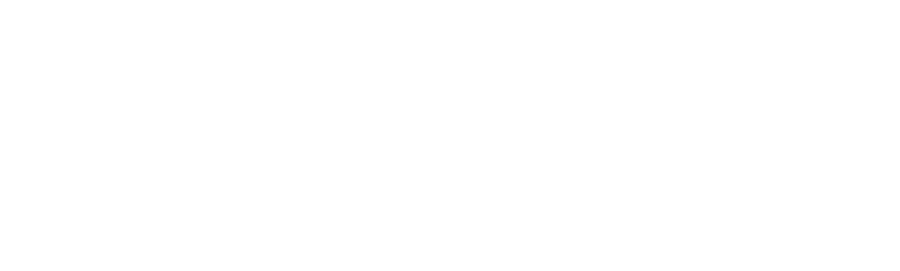 Макс Фист
