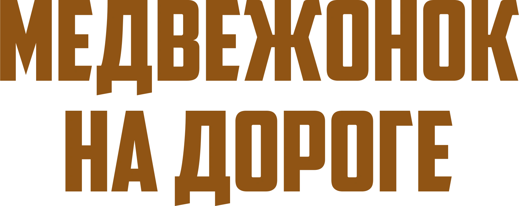 Медвежонок на дороге