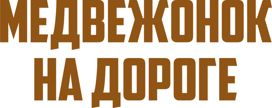 Медвежонок на дороге