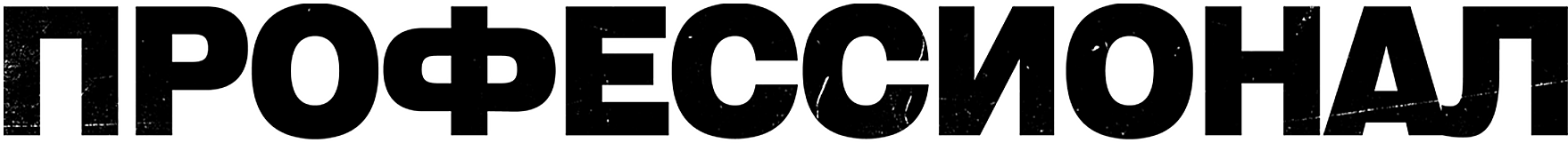 Профессионал (2011)