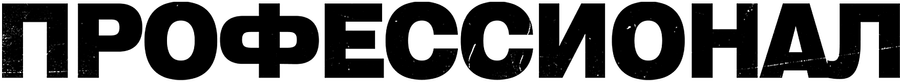 Профессионал (2011)