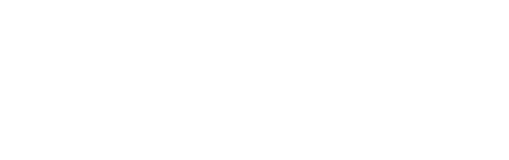 Нелегал