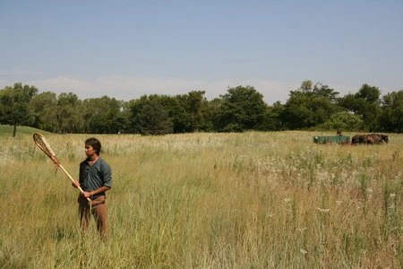 Единственный хороший индеец