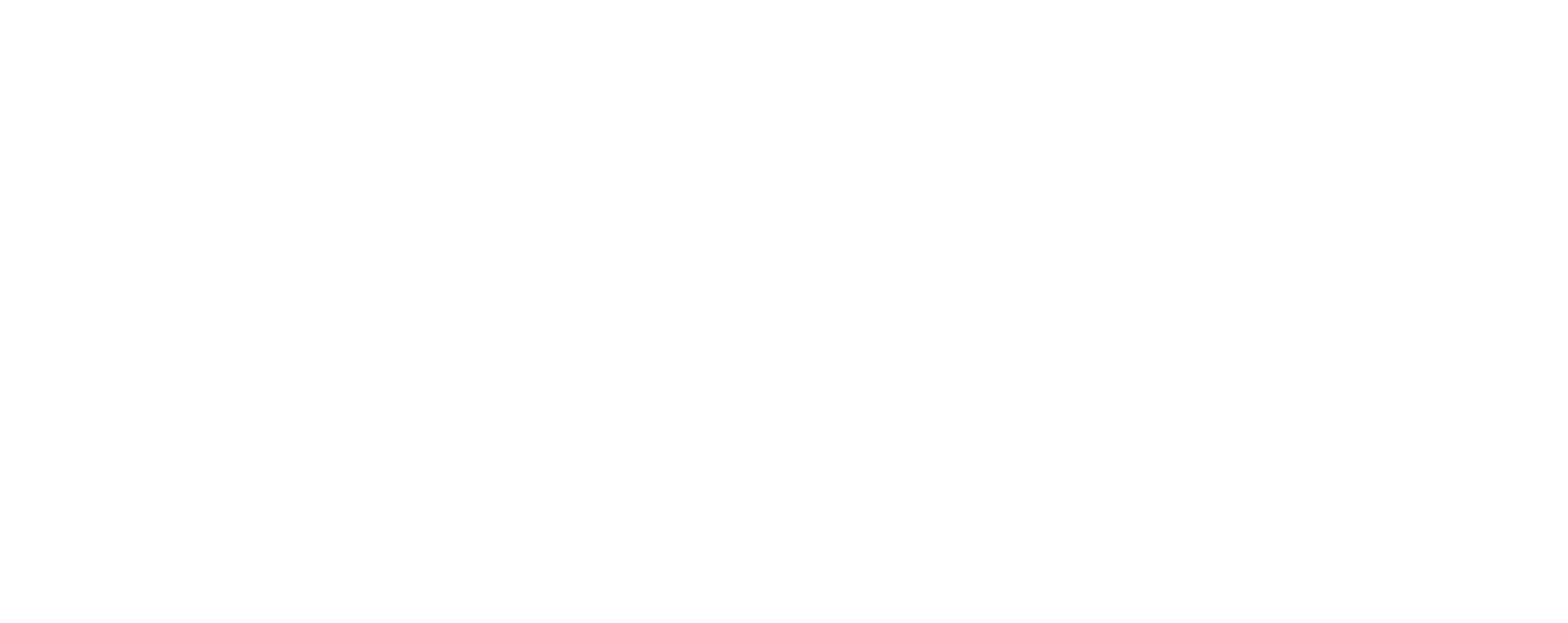 Победивший время