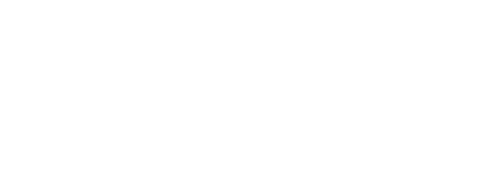 Северная звезда (2020)