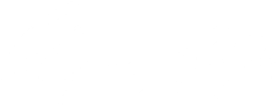 Северная звезда (2020)
