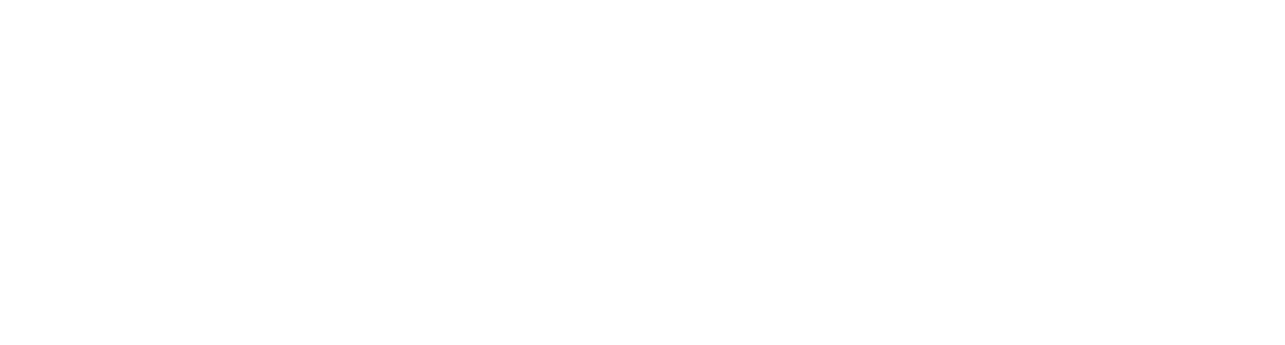 Невиданная, неслыханная
