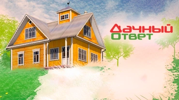 Дачный ответ