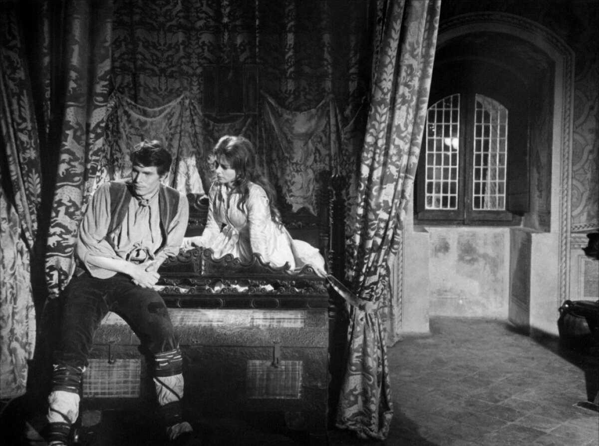 Ванина Ванини