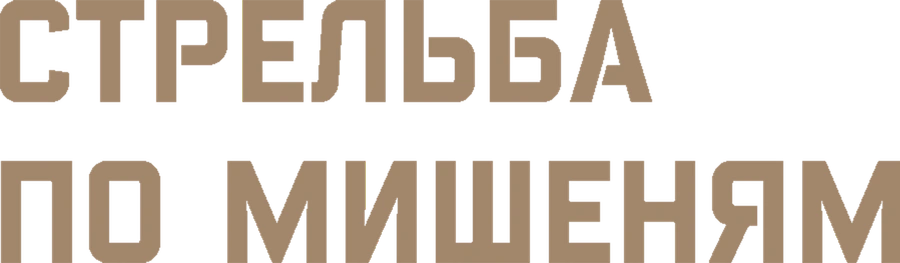 Стрельба по мишеням