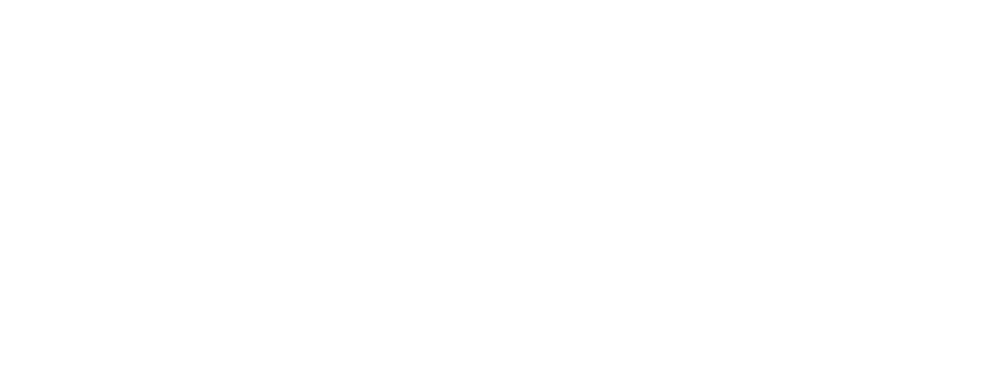 Похождения Чичикова