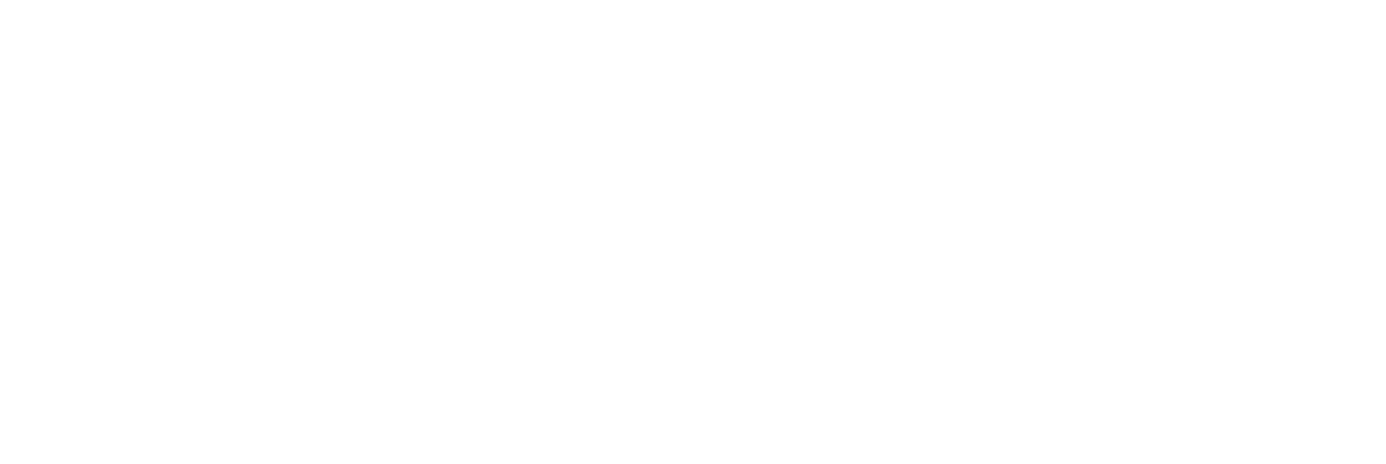 Провинциалы