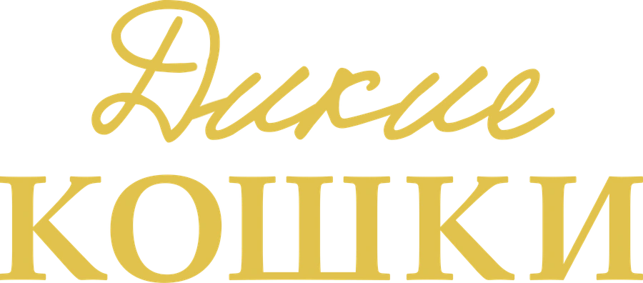 Дикие кошки