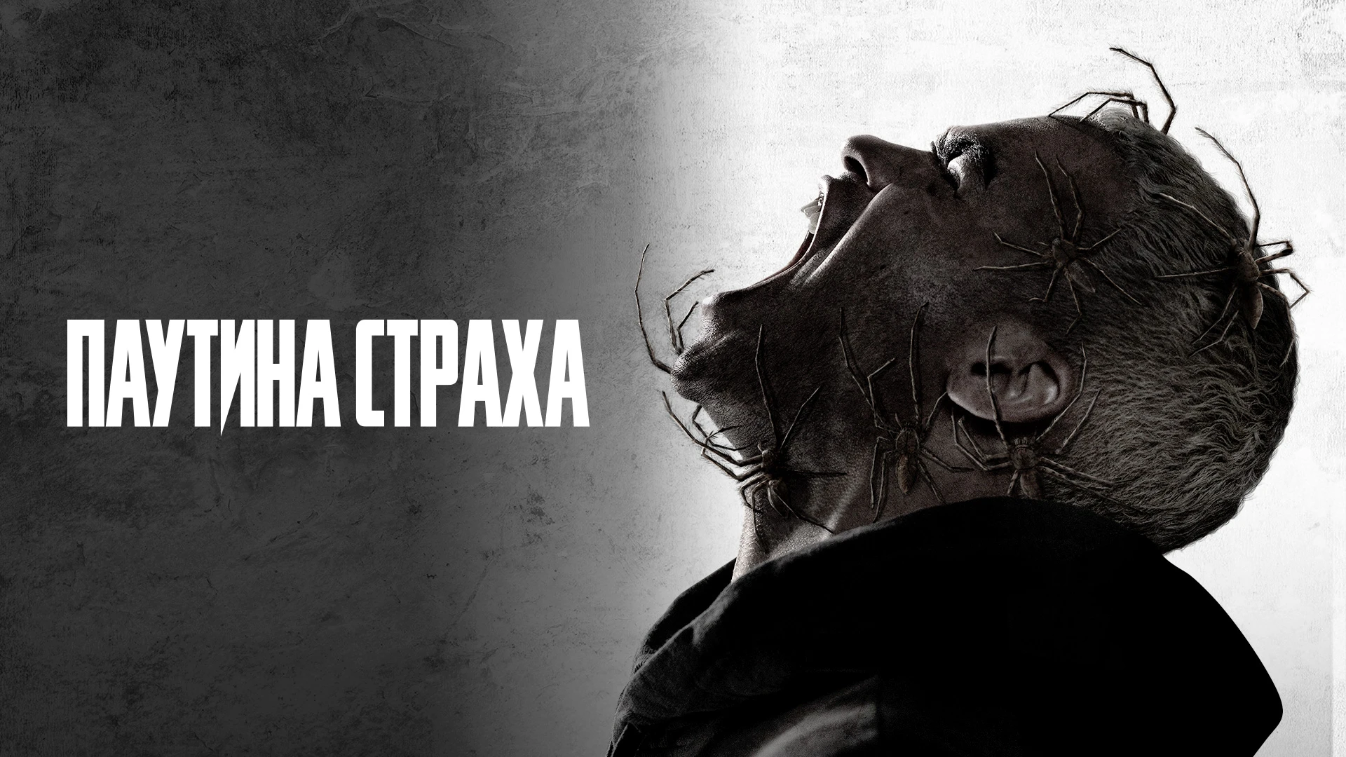 Паутина страха