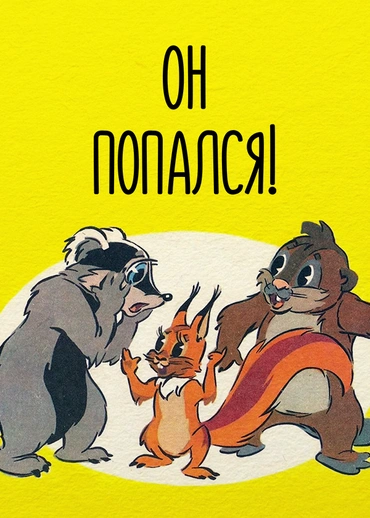 Он попался!