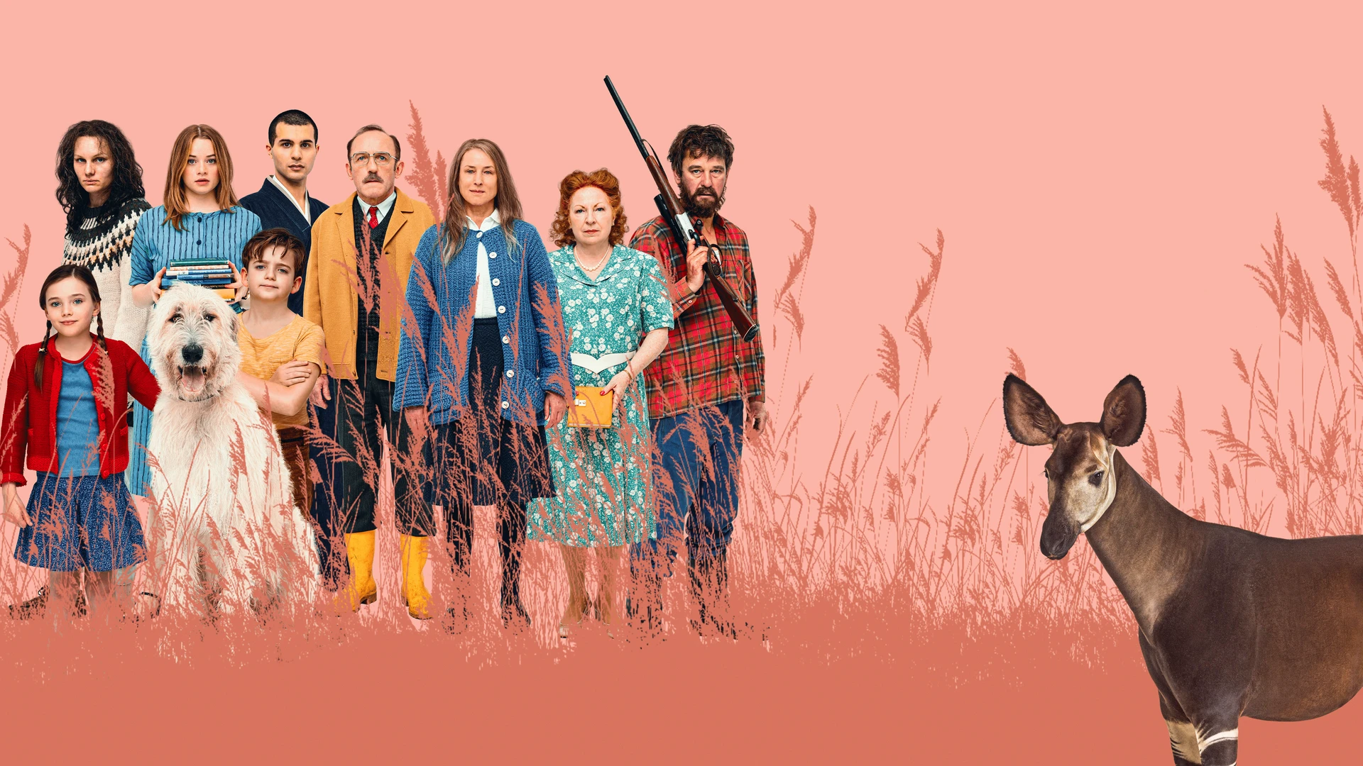 Что видно отсюда