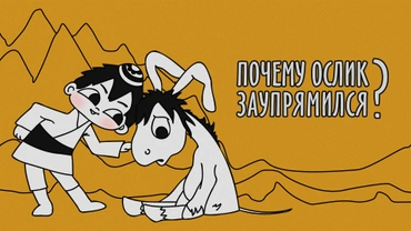 Почему ослик заупрямился?