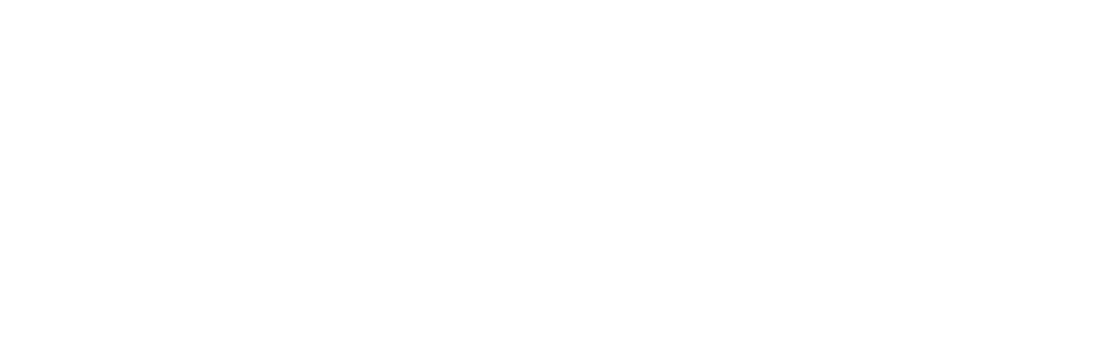 Одиннадцать молчаливых мужчин