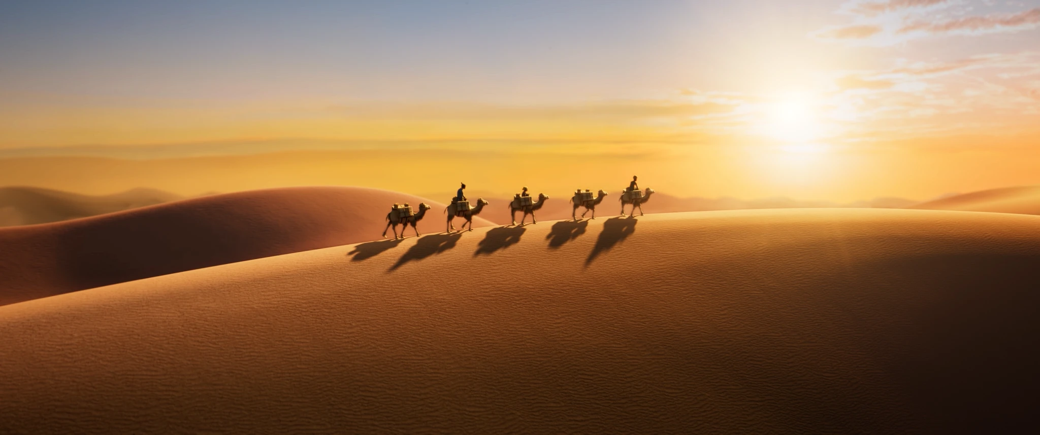 Беги, тигр, беги!