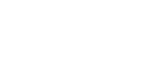 Изобретая Анну