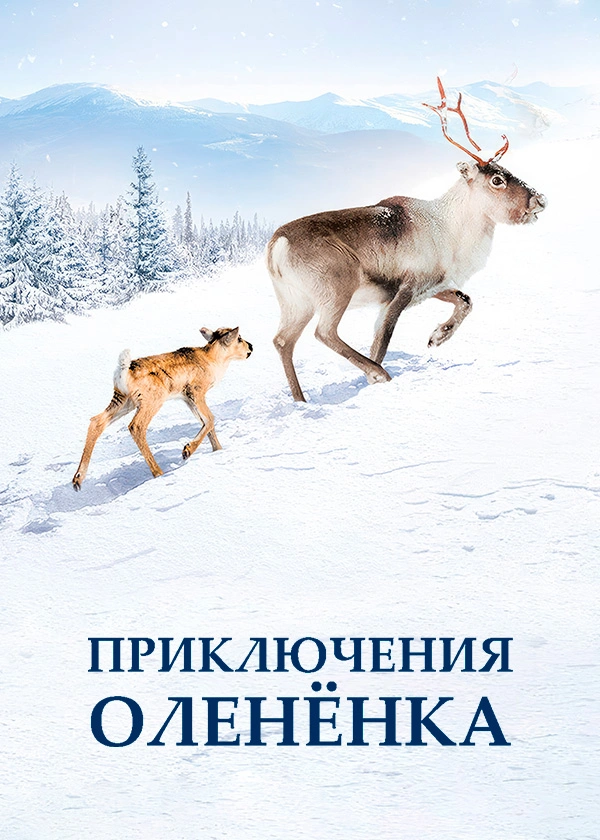 Приключения оленёнка