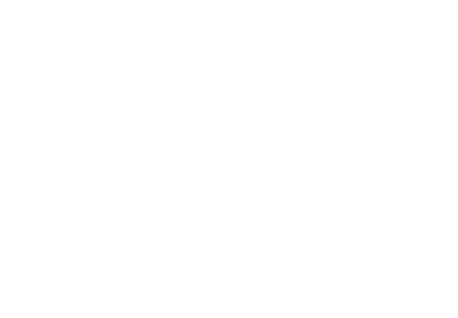 Скажи только слово