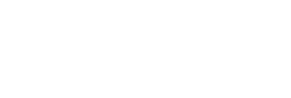 Гномы. Новогодний беспредел
