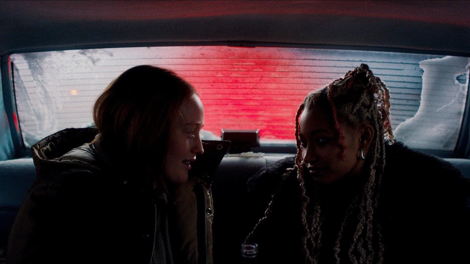 Моё животное